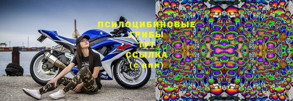 не бодяженный Горнозаводск