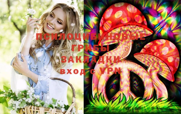 стаф Горно-Алтайск