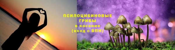 не бодяженный Горнозаводск