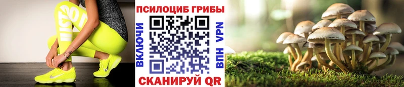 Галлюциногенные грибы Psilocybine cubensis как найти закладки Дыгулыбгей